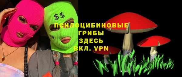 гидра Семилуки