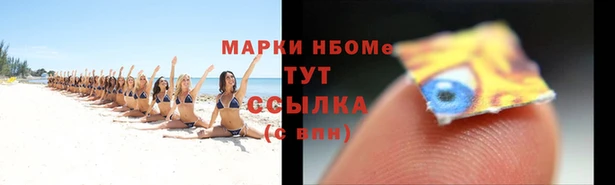крисы Абаза