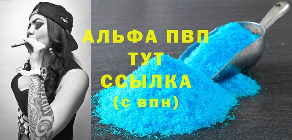 крисы Абаза