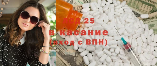 крисы Абаза