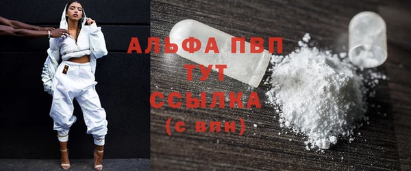 крисы Абаза