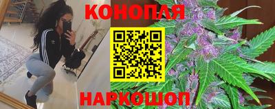 ешки Бийск