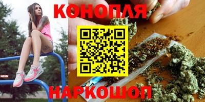 ешки Бийск