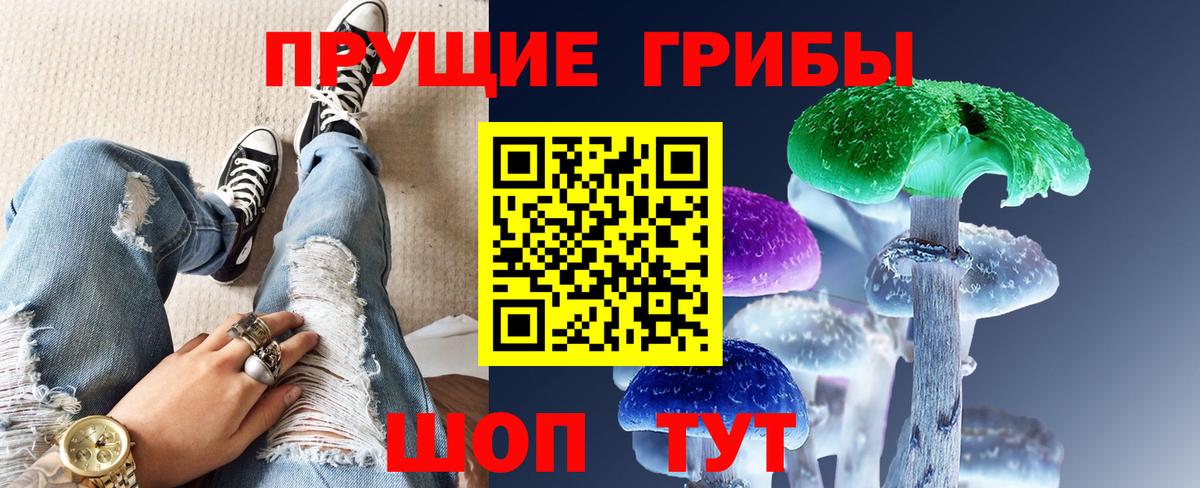 купить  цена  Вход с VPN  Богородск  Галлюциногенные грибы Psilocybine cubensis  Псилоцибиновые грибы Psilocybine cubensis 